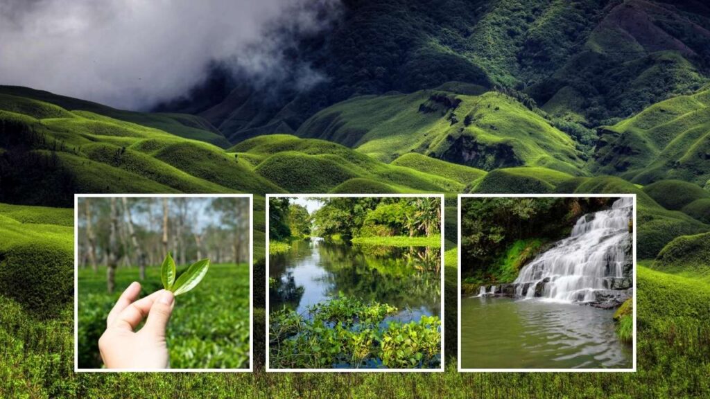 Assam et Nagaland _ l’ultime frontière de l’Inde