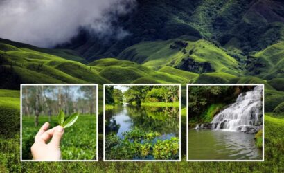 Assam et Nagaland _ l’ultime frontière de l’Inde