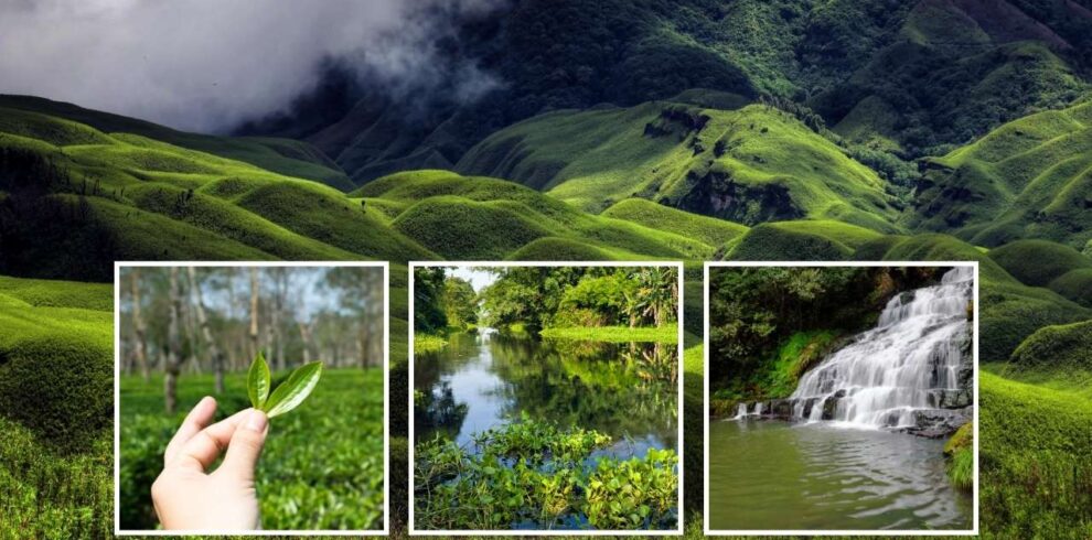 Assam et Nagaland _ l’ultime frontière de l’Inde