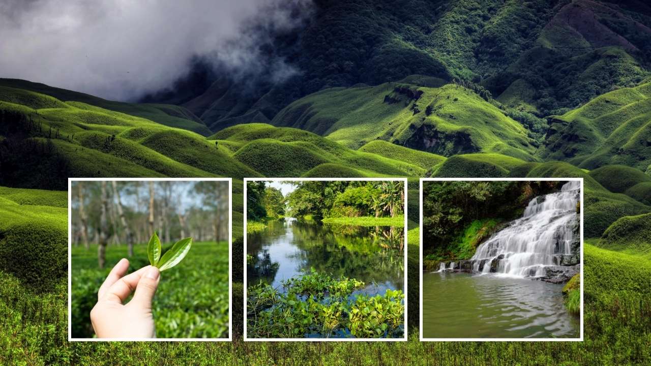 Assam et Nagaland _ l’ultime frontière de l’Inde