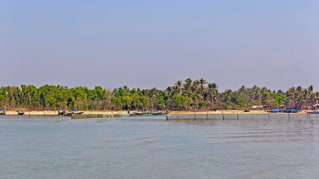 Chilika Lake - Puri - Odisha - India