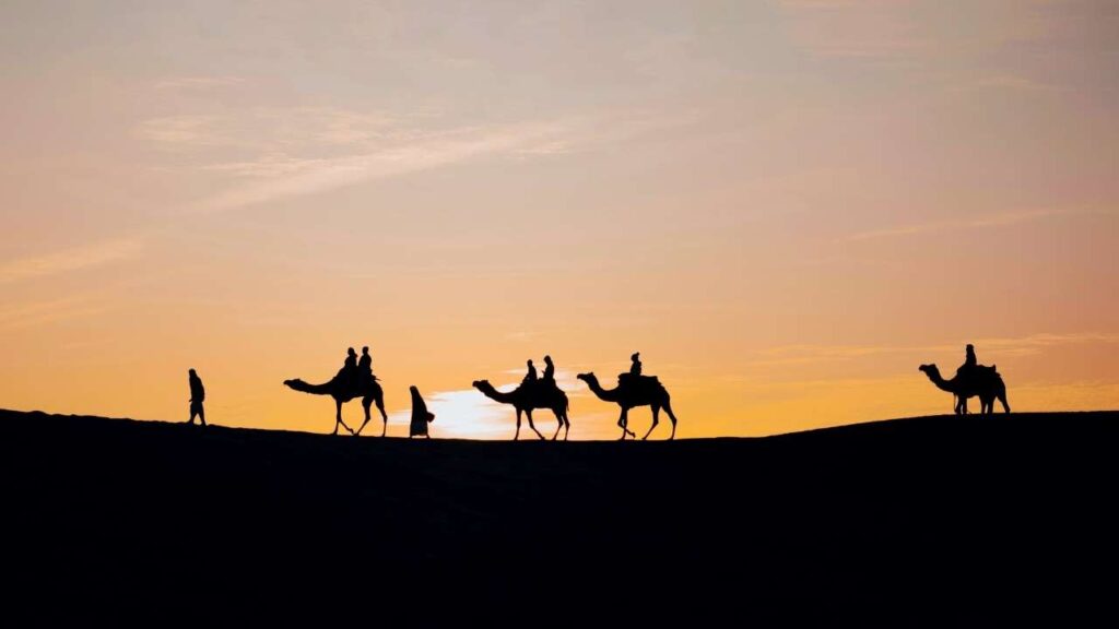 Desert Sunset - Jaisalmer - Rajasthan - India