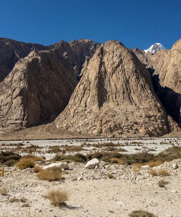 Hunder Sand Dunes - Nubra Valley - Ladakh - India
