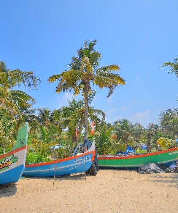 Marari Beach - Mararikulam - Kerala - India