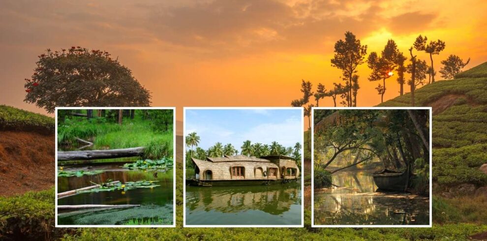 Séjour en famille au Kerala