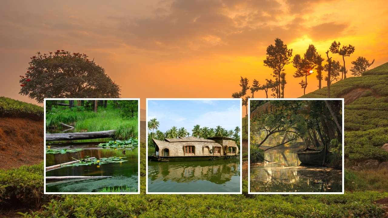 Séjour en famille au Kerala