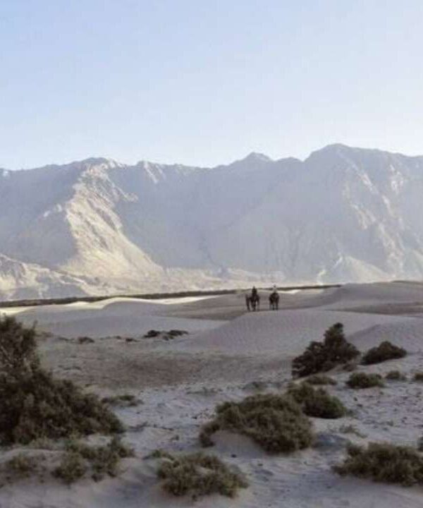 Sumur Village - Nubra Valley - Ladakh - India