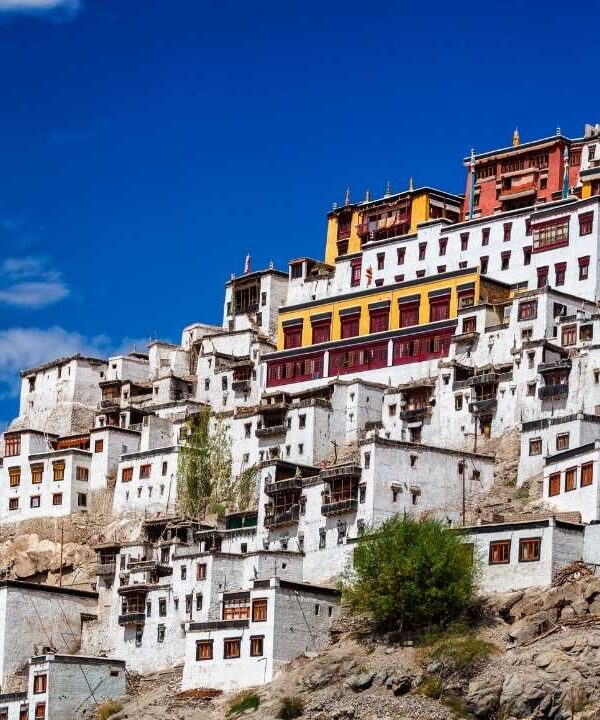 Thiksey Monastery - Thiksey - Ladakh - India