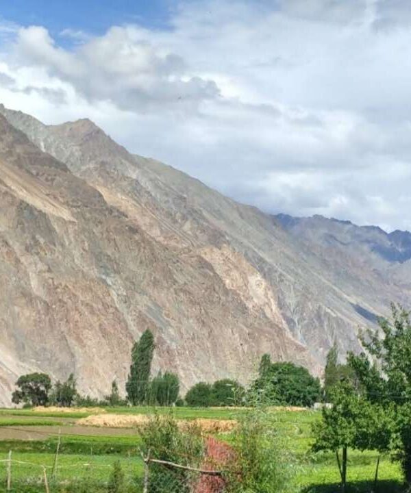 Turtuk Village - Nubra Valley - Ladakh - India